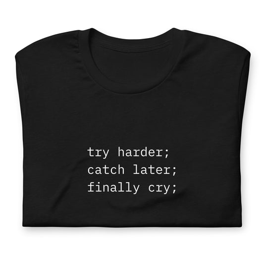 try harder; catch later; finally cry;